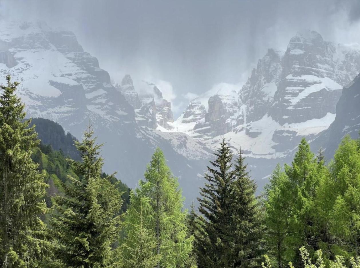 شقة Menz Campiglio مادونا دي كامبيليو المظهر الخارجي الصورة